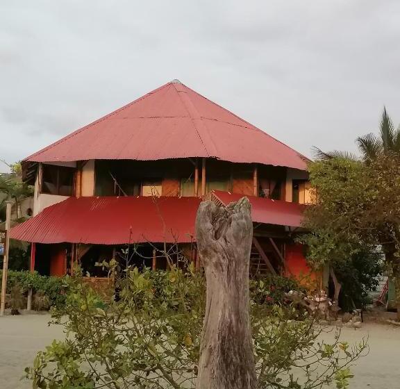 Bed & Breakfast Wipeout Cabaña Restaurant