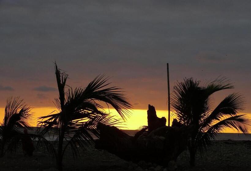 Bed & Breakfast Wipeout Cabaña Restaurant