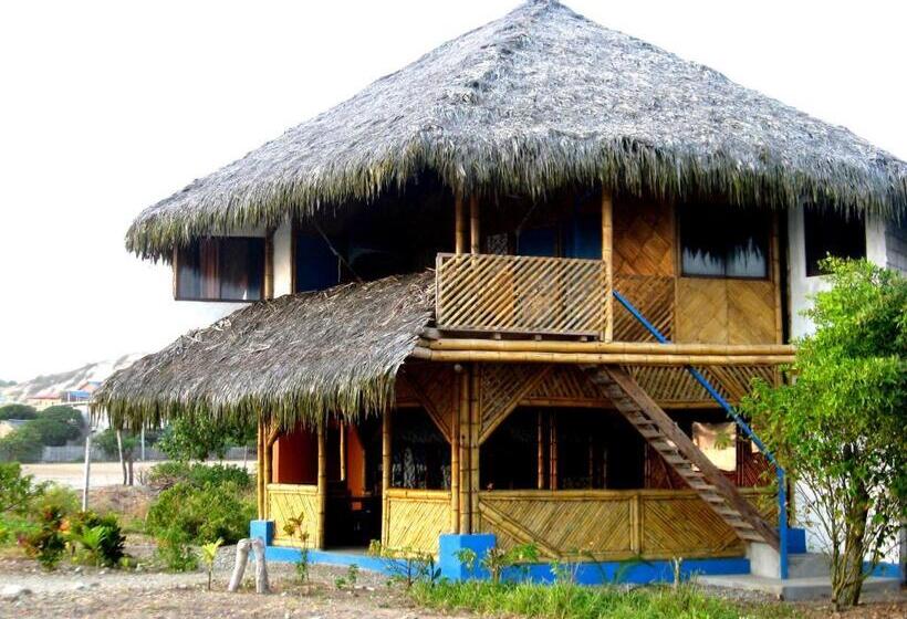 Bed & Breakfast Wipeout Cabaña Restaurant