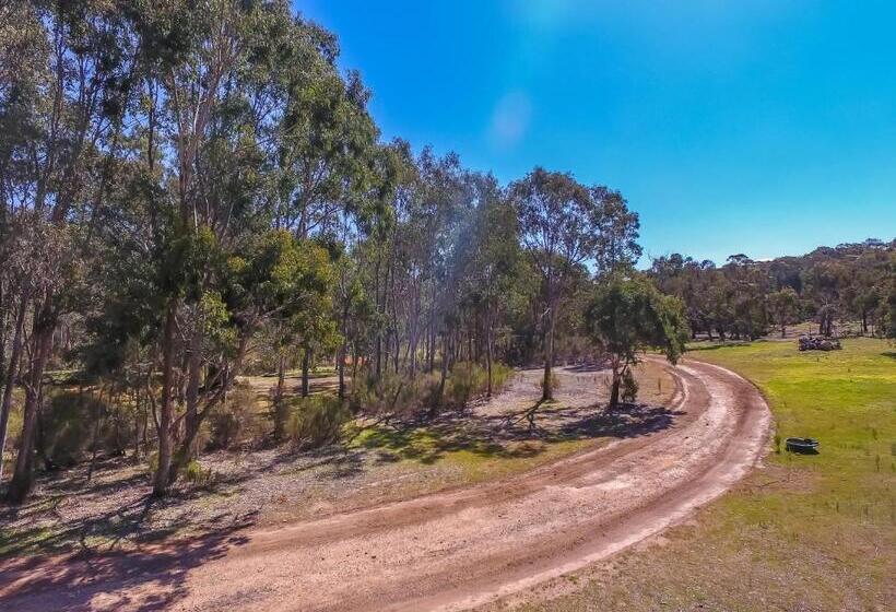 酒店 Hilltop Tiny House By Tiny Away