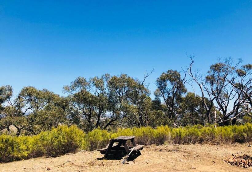 酒店 Hilltop Tiny House By Tiny Away