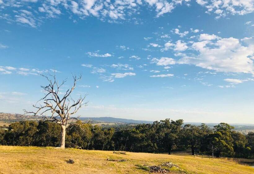 酒店 Hilltop Tiny House By Tiny Away