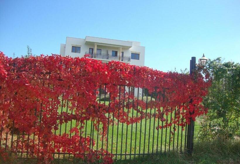 Pensiune Casa Lacul Sarat