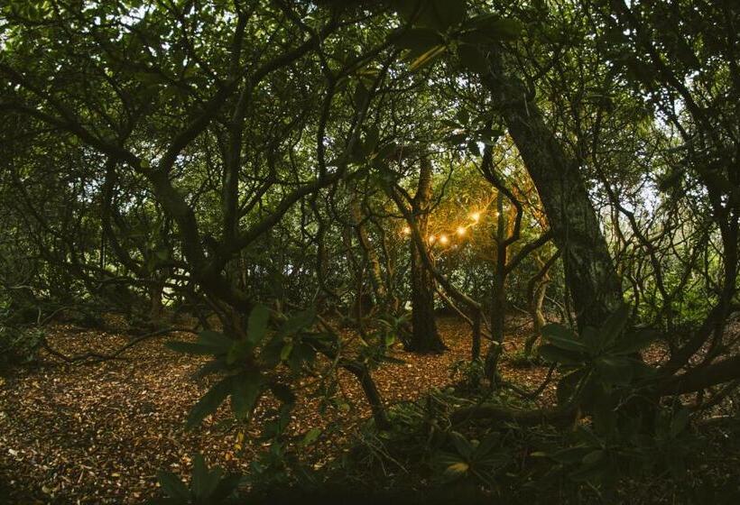 Vallåsens Värdshus Stf Hostel