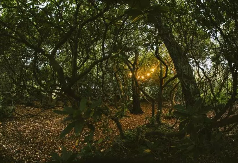 Vallåsens Värdshus Stf Hostel