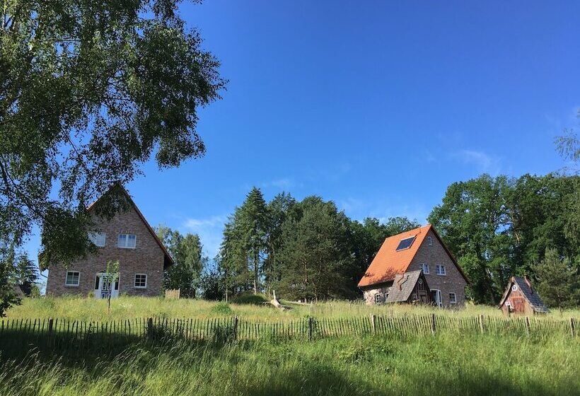 Bispinger Heidezauber