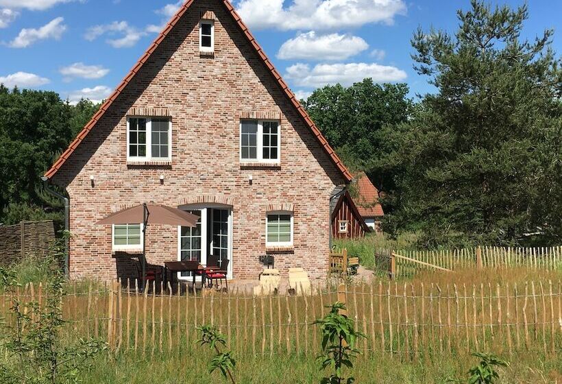 Bispinger Heidezauber