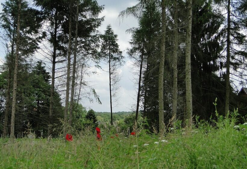 Bispinger Heidezauber