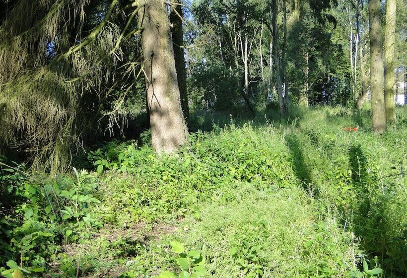 Bispinger Heidezauber