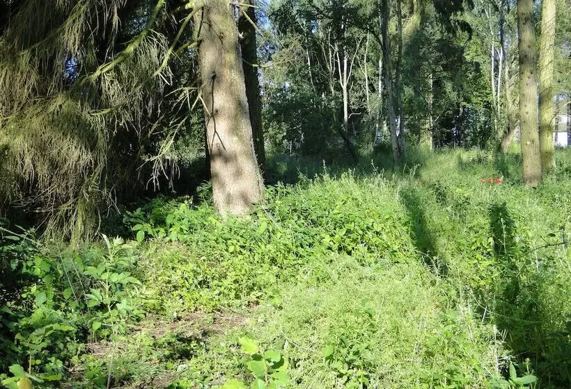 Bispinger Heidezauber