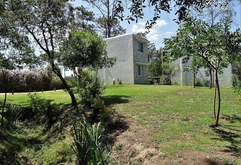 فندق Bungalows Punta Colorada