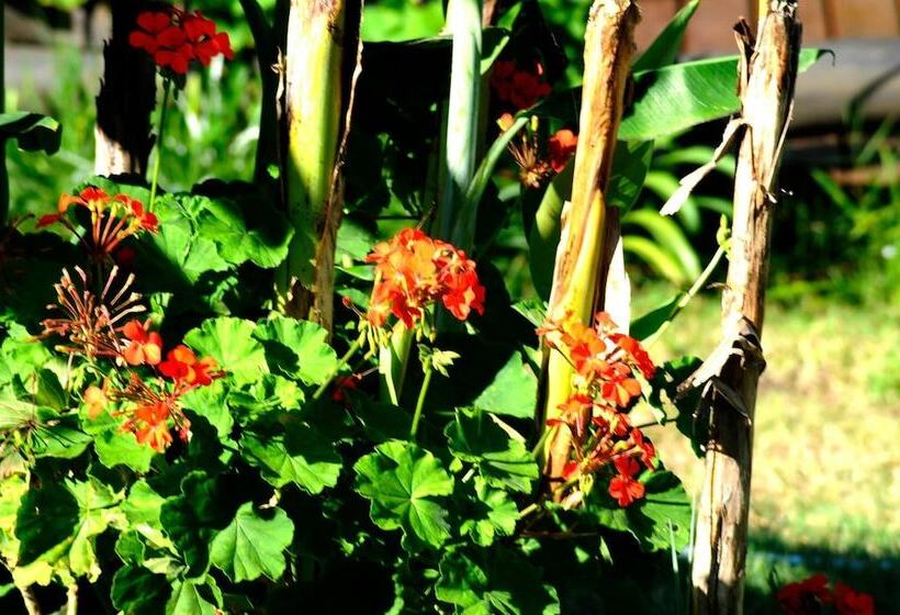 فندق Bungalows Punta Colorada