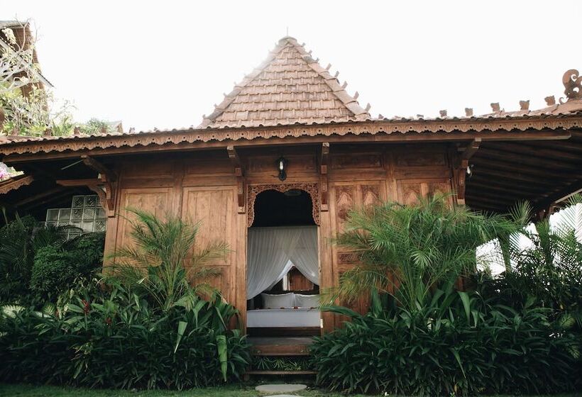 هتل White Tortoise Eco Villa's