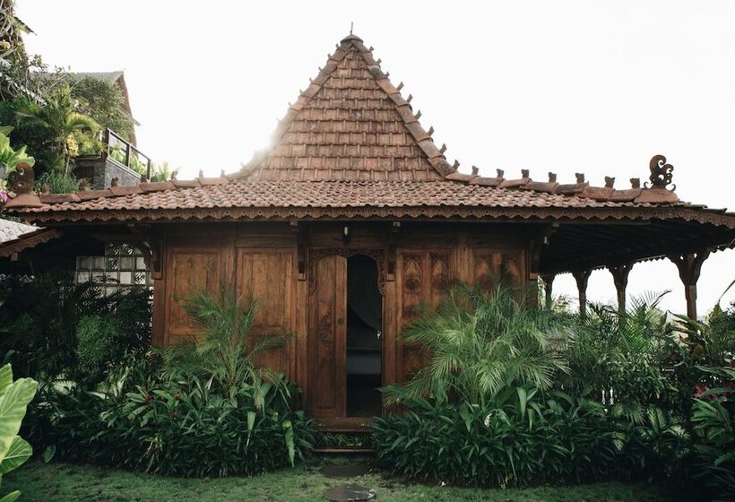 هتل White Tortoise Eco Villa's