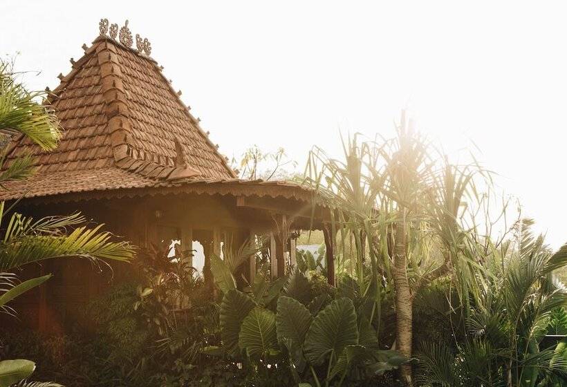 هتل White Tortoise Eco Villa's