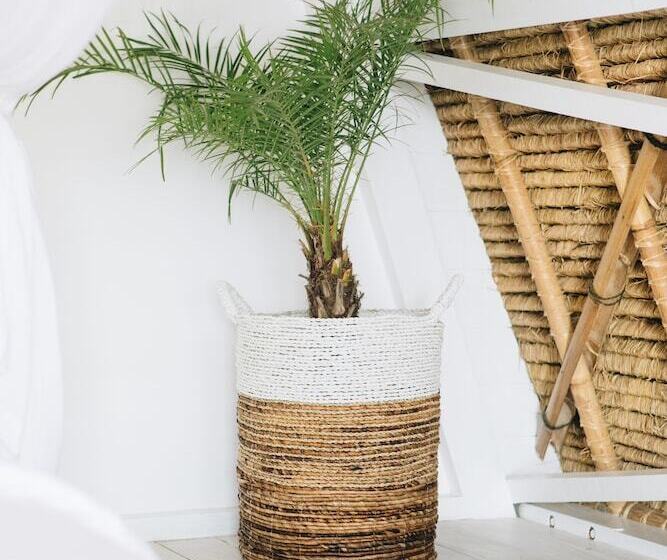 هتل White Tortoise Eco Villa's