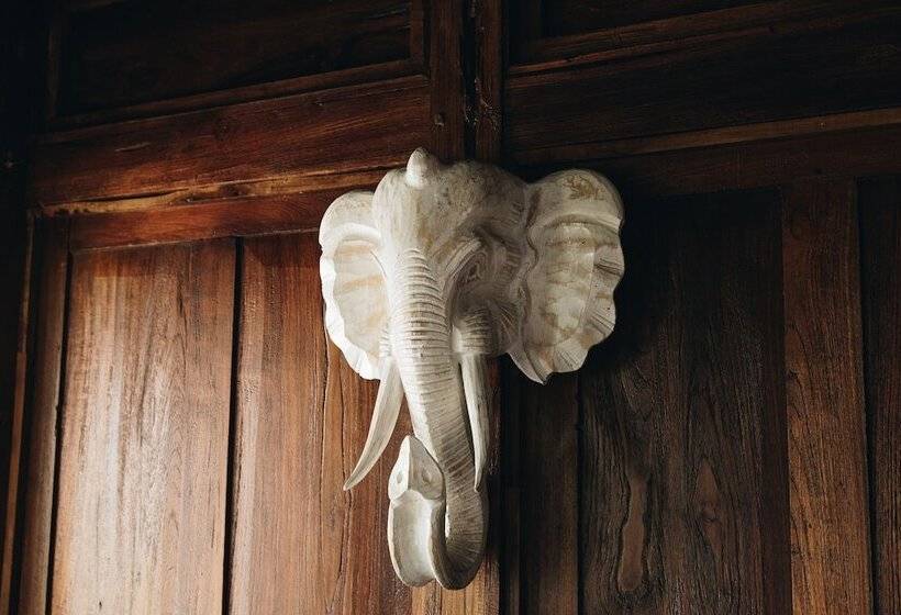 هتل White Tortoise Eco Villa's