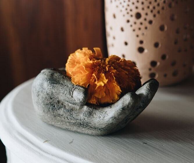 هتل White Tortoise Eco Villa's