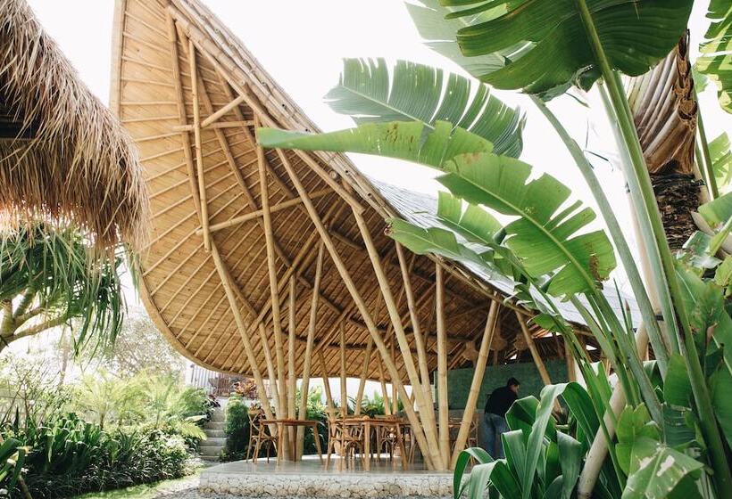 هتل White Tortoise Eco Villa's