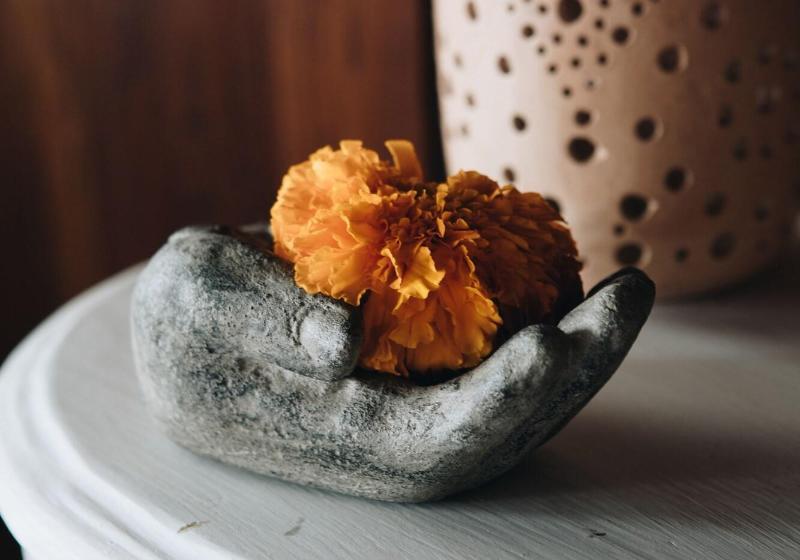 هتل White Tortoise Eco Villa's