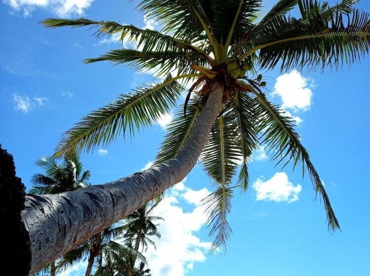 Sigasiga Sands Boutique Resort