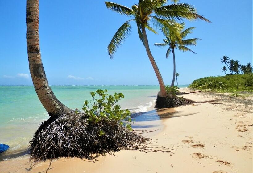 Sigasiga Sands Boutique Resort