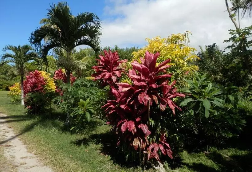Sigasiga Sands Boutique Resort