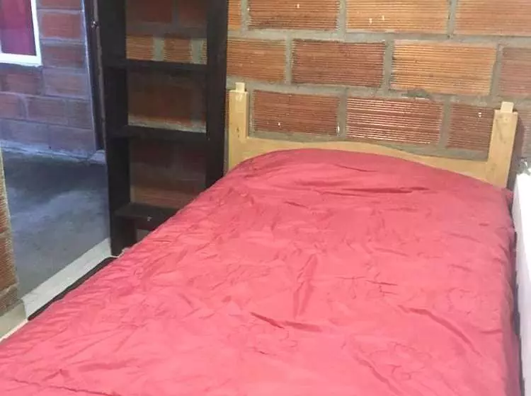 Andys