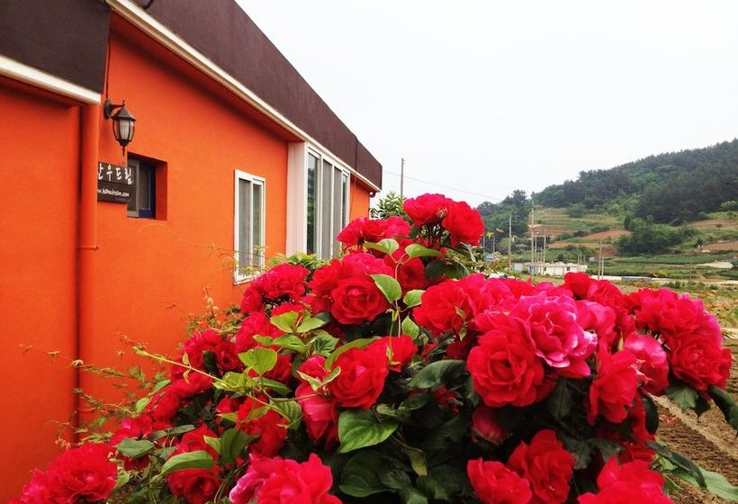 Hanudream Theme Pension