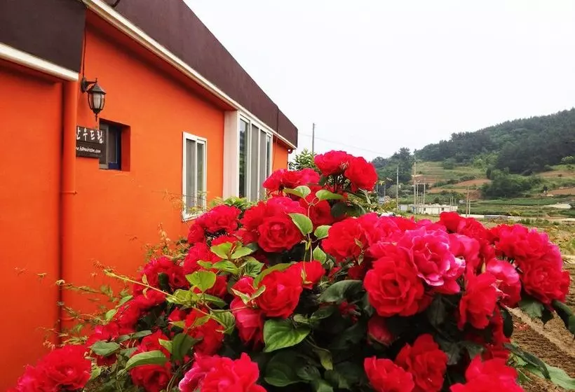 Hanudream Theme Pension