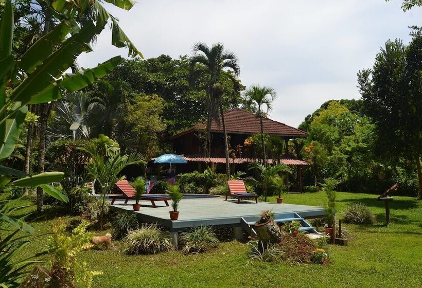 هتل Chalet Y Cabinas Hibiscus