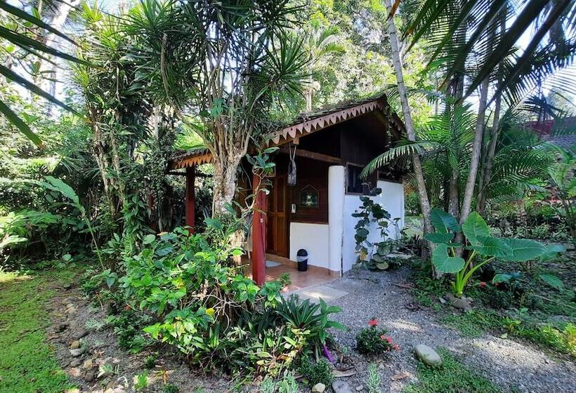 هتل Chalet Y Cabinas Hibiscus