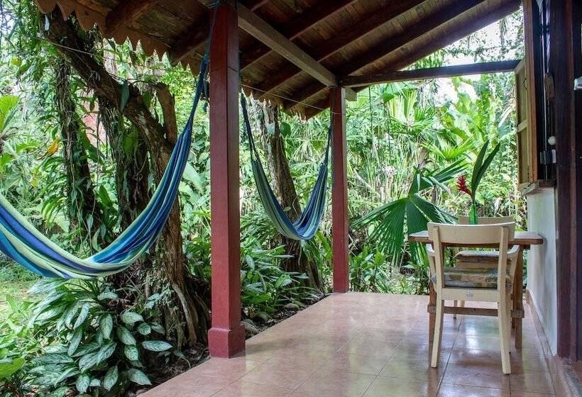 هتل Chalet Y Cabinas Hibiscus