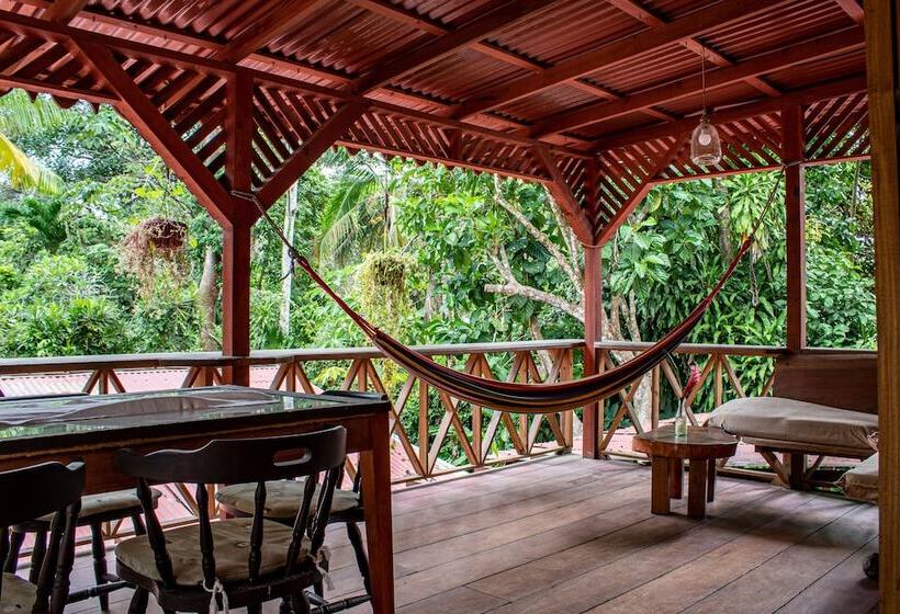 هتل Chalet Y Cabinas Hibiscus