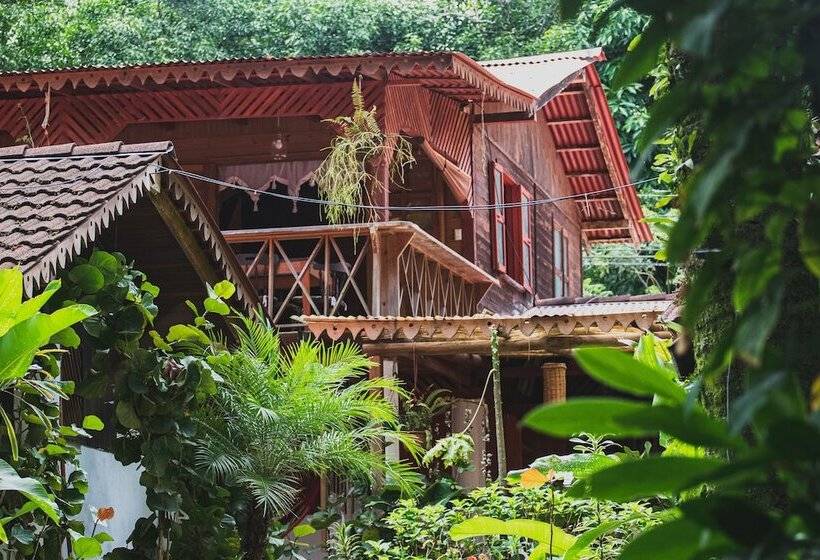 هتل Chalet Y Cabinas Hibiscus