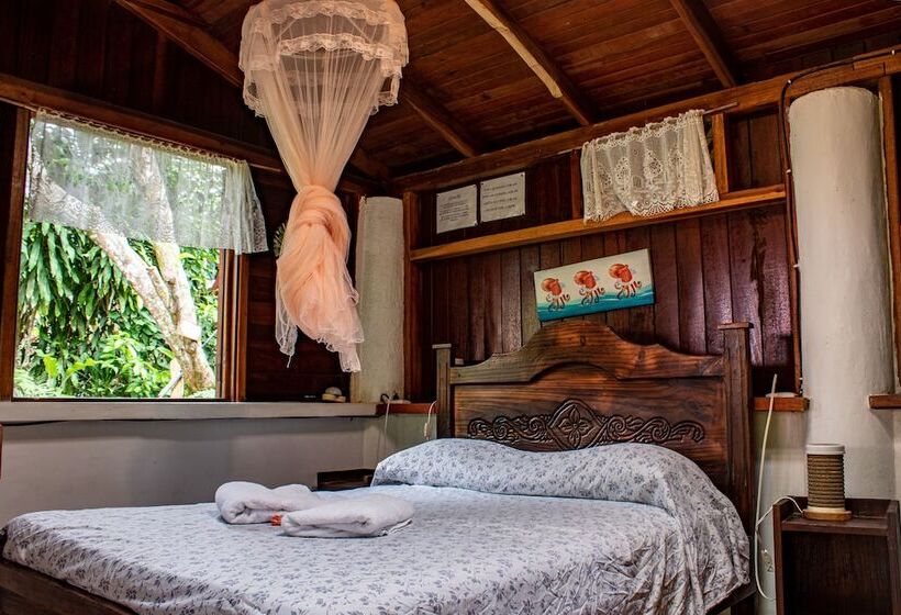 هتل Chalet Y Cabinas Hibiscus