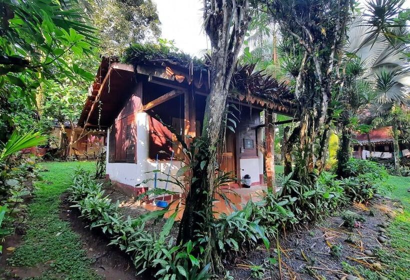 هتل Chalet Y Cabinas Hibiscus