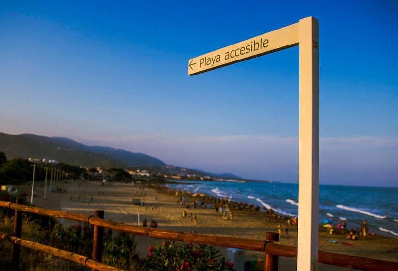 Kione Villamar Habitat