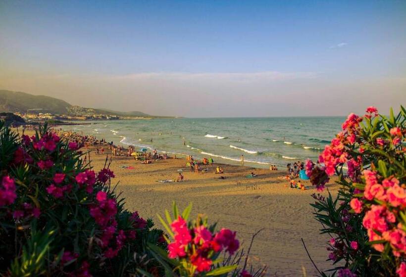 Kione Villamar Habitat