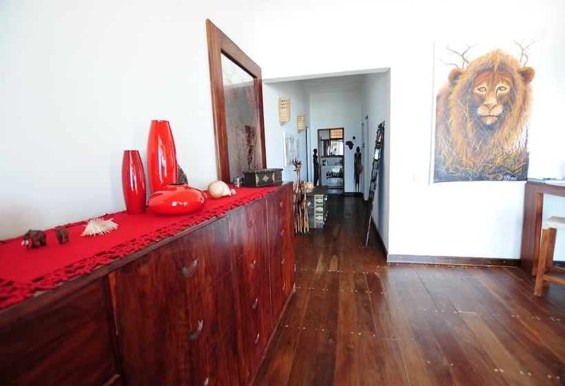 Pensjonat Turtle House Villa