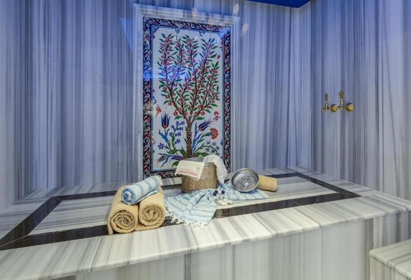 Gordion Hotel   Special Class