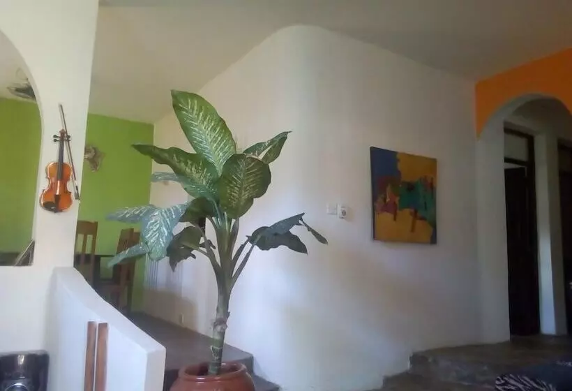 پانسیون Akogo House   Bnb , Hostel, Backpackers & Volunteer Center