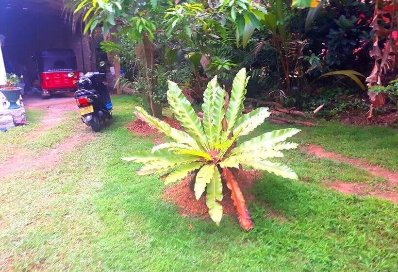 膳宿费 Nadee Villa Guest House