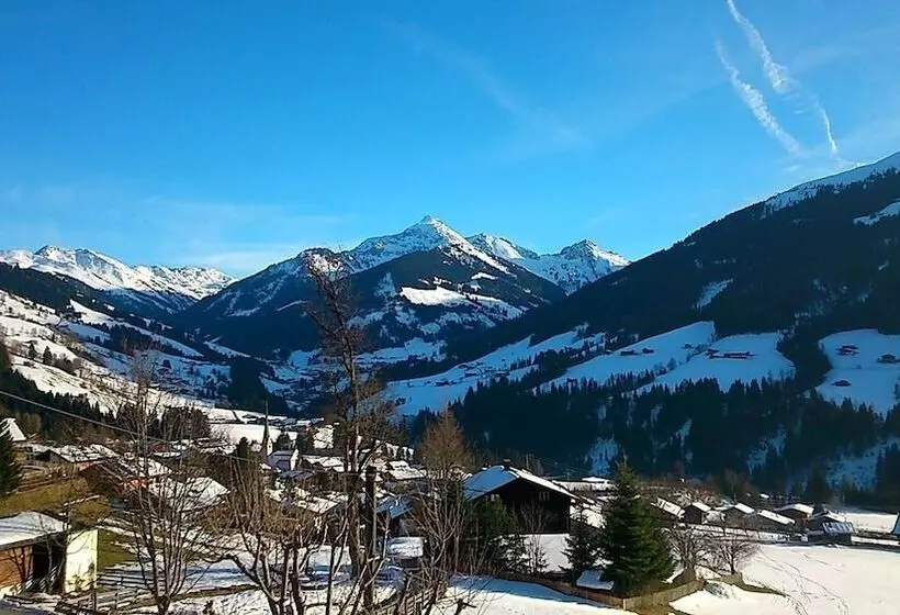 リゾートホテル Alpbach Lodge Chalet Superior