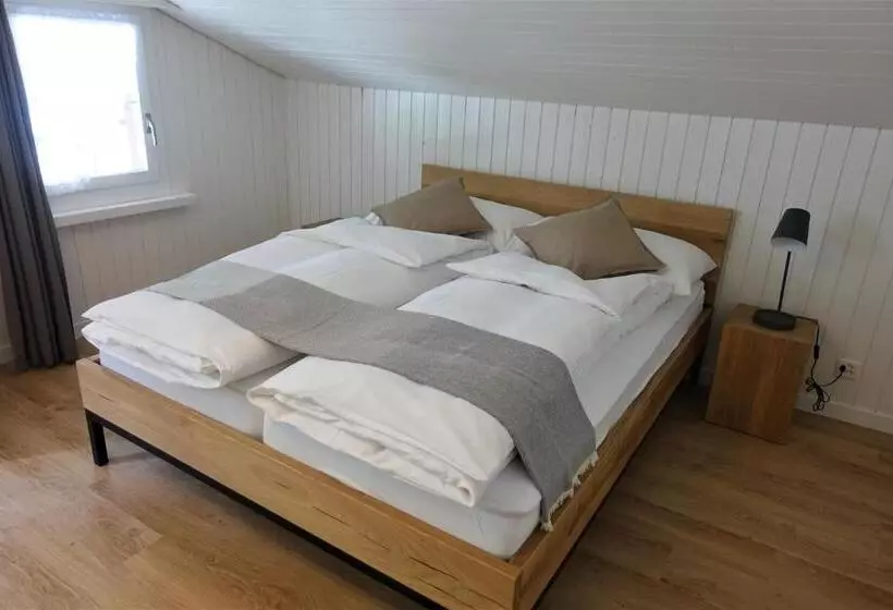 Retkeilymaja Bären Guttannen