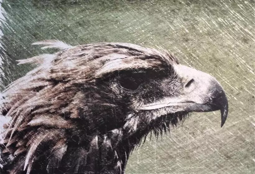 Retkeilymaja Bären Guttannen