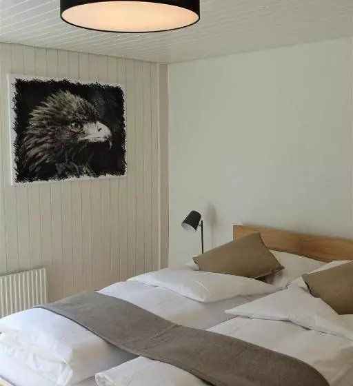 Retkeilymaja Bären Guttannen