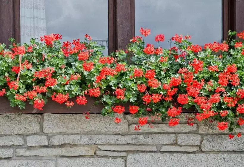 Retkeilymaja Bären Guttannen