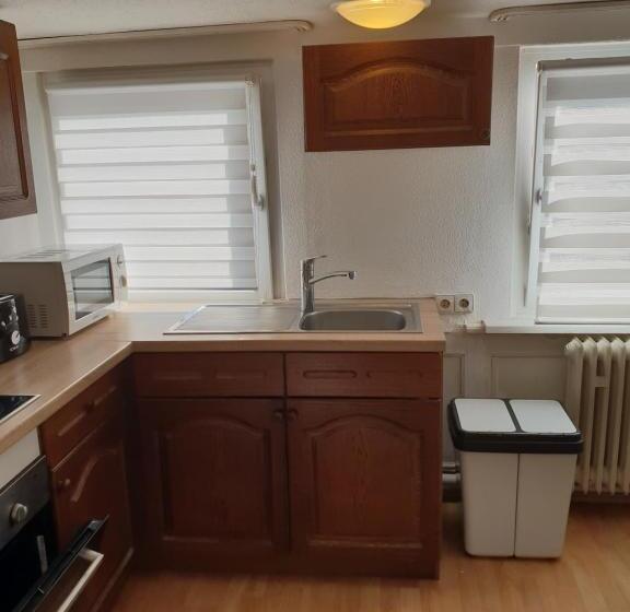 Hospedaria Gasthaus Zur Stadt Triberg