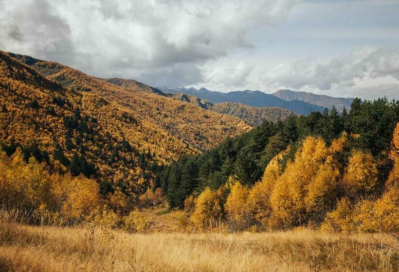 پانسیون Agra Ushguli